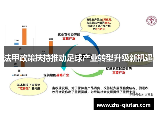 法甲政策扶持推动足球产业转型升级新机遇 法甲政策扶持推动足球产业转型升级新机遇